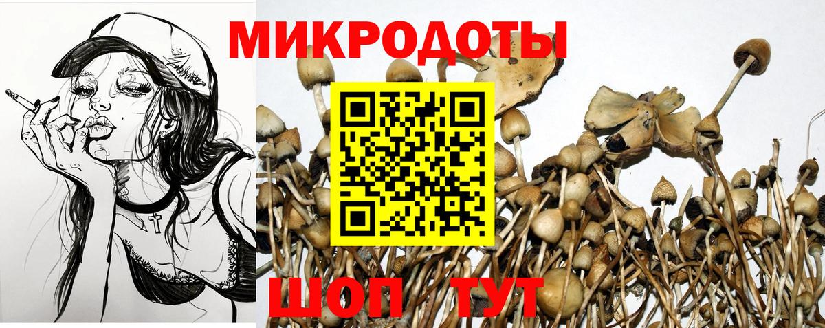 АМФ   Кокаин  ГАШ  Марихуана  Губаха  Меф   Сколько стоит  Вход с VPN 