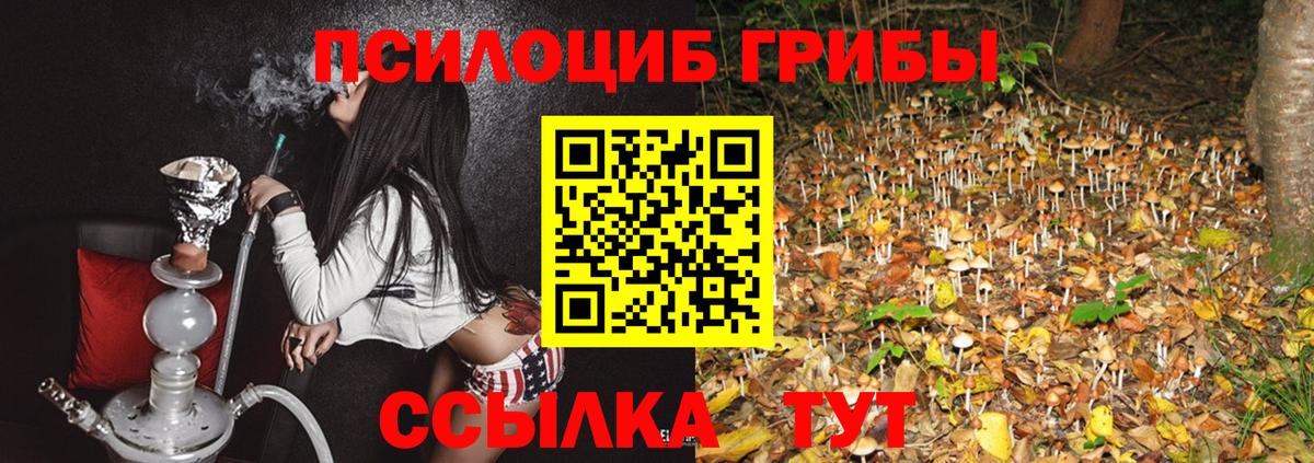 Псилоцибиновые грибы прущие грибы Губаха